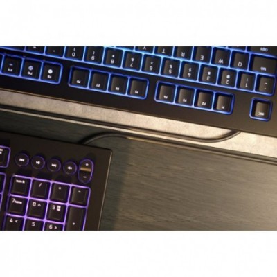 TECLADO RAZER CYNOSA V2